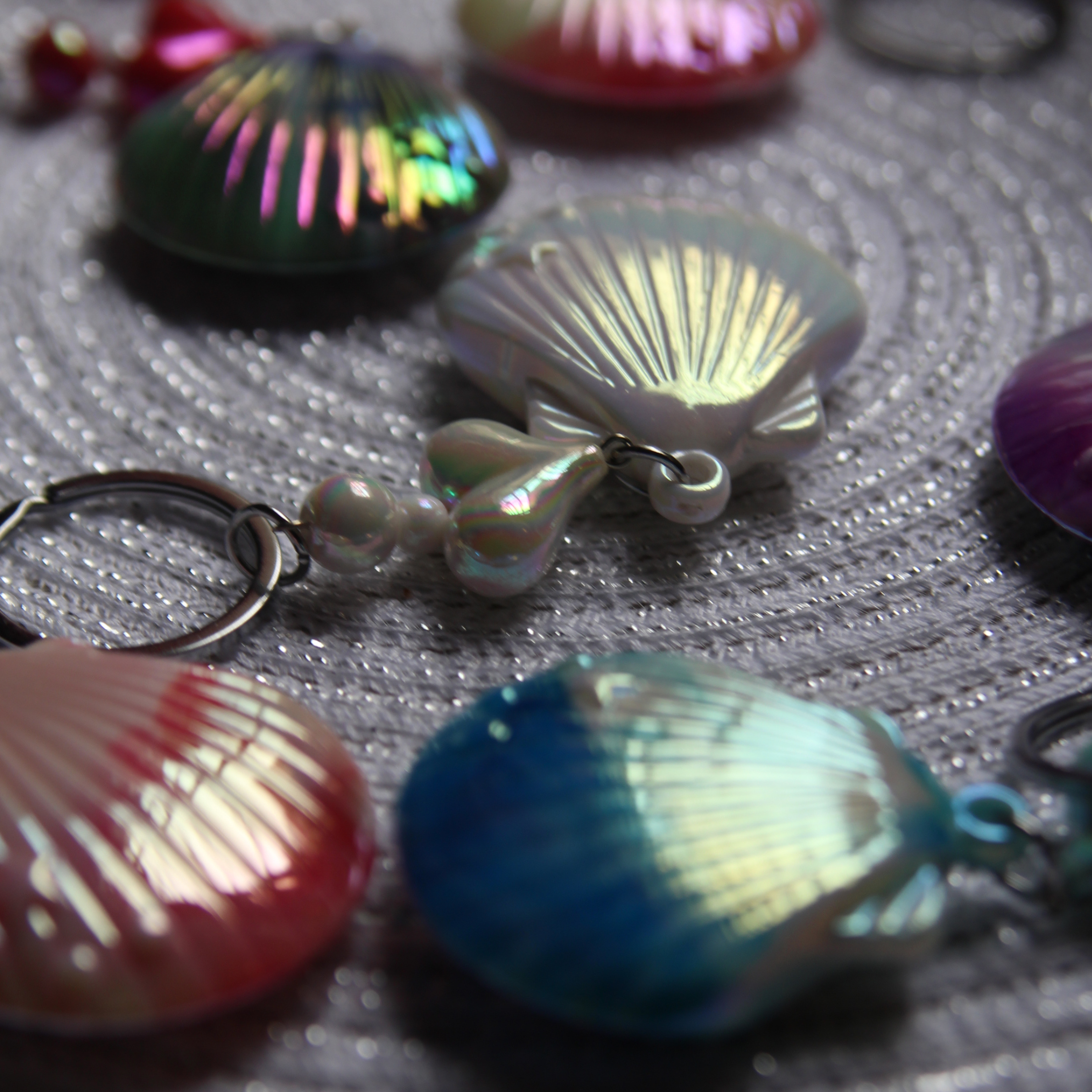 Shell & Beach