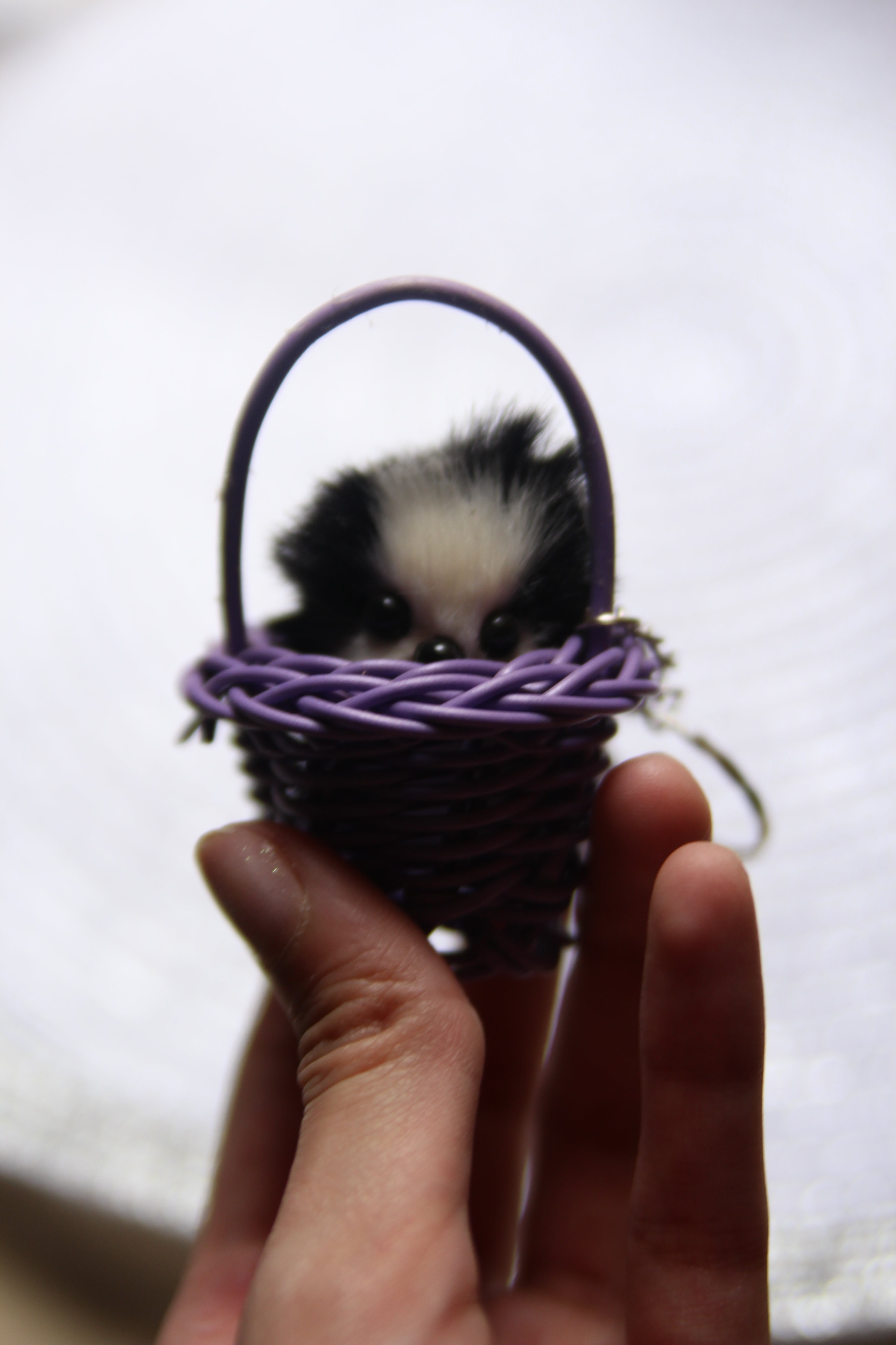 Cute Puppet in a Basket Keychain